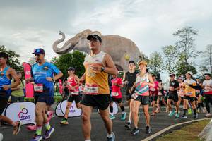 BIB: 
                            <button type="button" onclick="openModal(26528319)" class="btn btn-primary btn-sm float-right btn-popup" data-toggle="modal" data-target=".modal-high-quality">
                        <i class="fas fa-shopping-cart"></i> Add to Cart
                    </button>
                                            <button type="button" onclick="isThisMe(26528319, true)" class="btn btn-success btn-sm float-right btn-popup btn-isme hidden" data-toggle="tooltip" data-placement="bottom" title="นี่คือรูปของคุณใช่ไหม คลิกที่นี่เพื่อเอาเข้าอัลบั้ม">
                        <i class="fas fa-plus"></i> Add to album
                    </button>
                    <button type="button" onclick="isThisMe(26528319, false)" class="btn btn-warning btn-sm float-right btn-popup btn-isnotme hidden">
                        <i class="fas fa-ban"></i> Remove from album
                    </button>